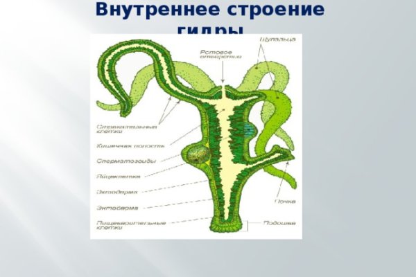 Кракен дарк сайт